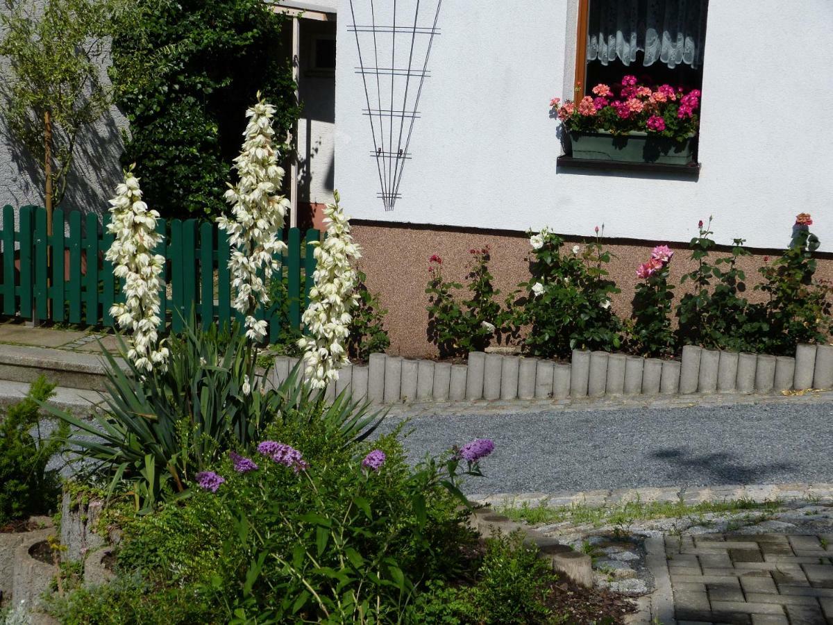 Pension Johannistal Зебниц Екстериор снимка
