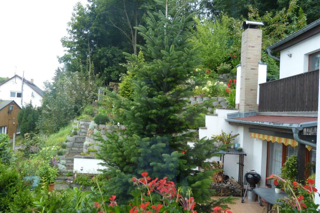 Pension Johannistal Зебниц Екстериор снимка